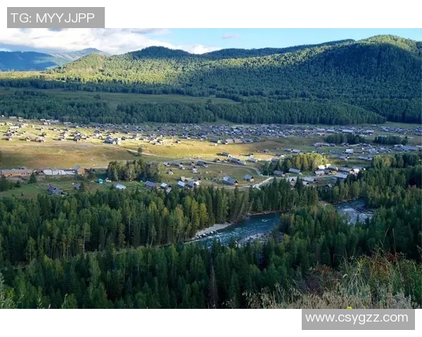 广东对阵新疆精彩直播全程回顾与赛后分析尽在这里